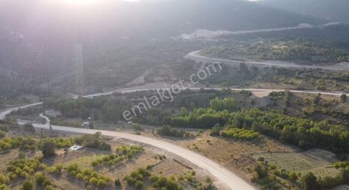 Arsa-Bağ & Bahçe