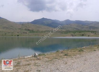 Arsa-Tarla