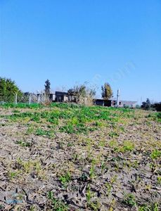 Arsa-Villa İmarlı