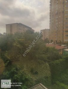 İşyeri-Plaza Katı