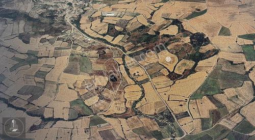 Arsa-Tarla