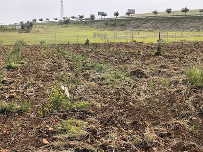 Arsa-Konut İmarlı