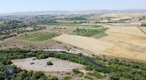 Arsa-Tarla