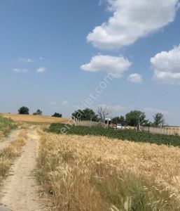 Arsa-Tarla