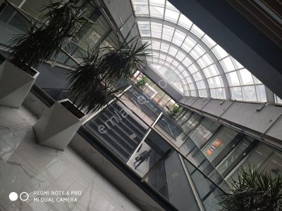 İşyeri-Dükkan & Mağaza