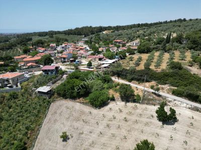 Arsa-Konut İmarlı