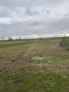 Arsa-Tarla