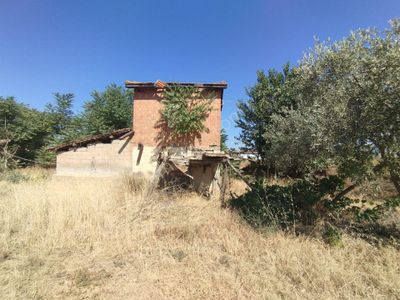 Arsa-Bağ & Bahçe