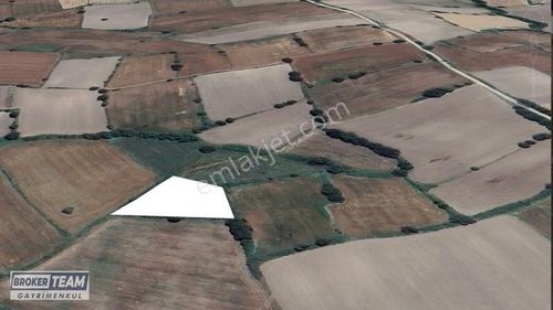 Arsa-Tarla