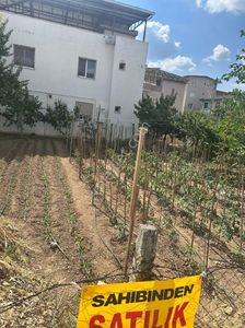 Arsa-Villa İmarlı