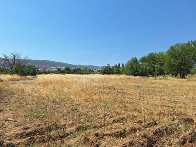 Arsa-Tarla