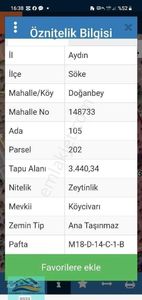 Arsa-Zeytinlik