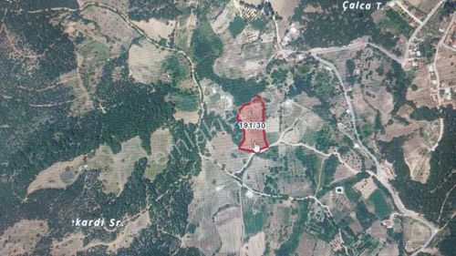 Arsa-Tarla