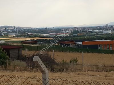 Arsa-Tarla