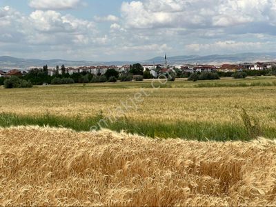 Arsa-Tarla