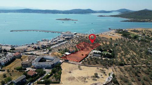Arsa-Zeytinlik