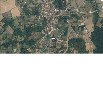 Arsa-Bağ & Bahçe