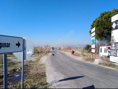 Arsa-Bağ & Bahçe