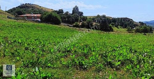 Arsa-Villa İmarlı