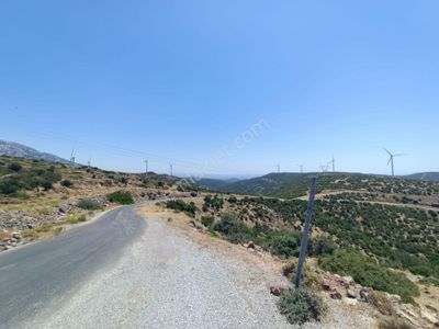 Arsa-Tarla