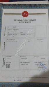 Arsa-Tarla