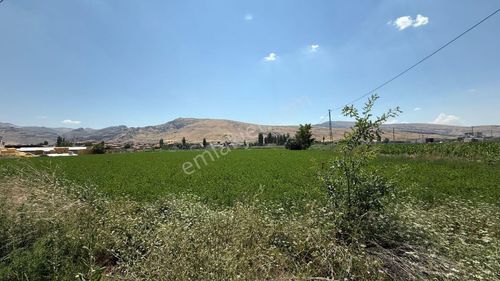 Arsa-Tarla