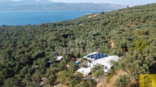 Konut-Müstakil Ev