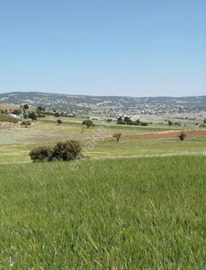 Arsa-Tarla