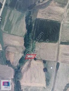 Arsa-Tarla