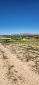 Arsa-Tarla