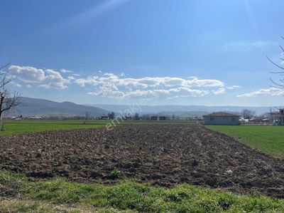 Arsa-Bağ & Bahçe