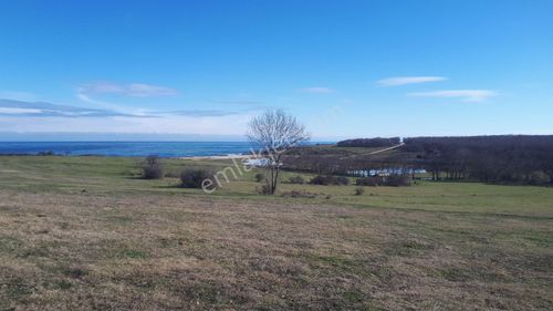Arsa-Tarla