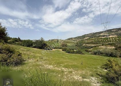 Arsa-Tarla