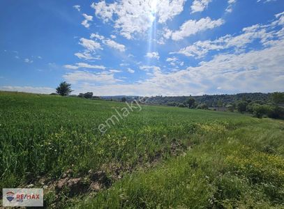 Arsa-Tarla