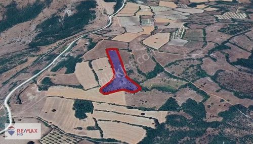 Arsa-Tarla