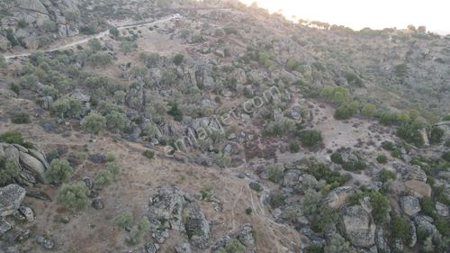 Arsa-Zeytinlik