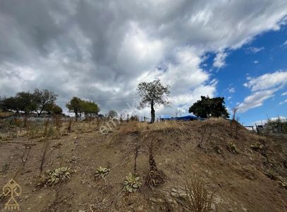 Arsa-Konut İmarlı