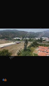 Arsa-Konut İmarlı