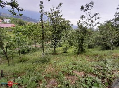 Arsa-Konut İmarlı