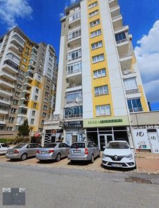 İşyeri-Dükkan & Mağaza