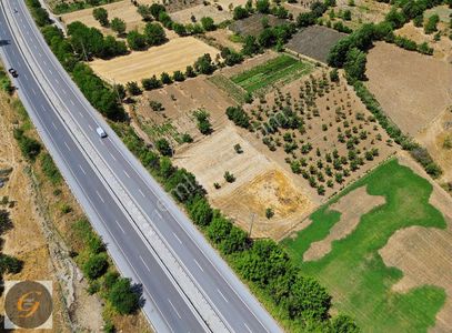 Arsa-Bağ & Bahçe