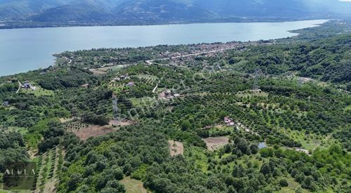 Arsa-Tarla