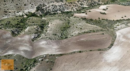 Arsa-Tarla