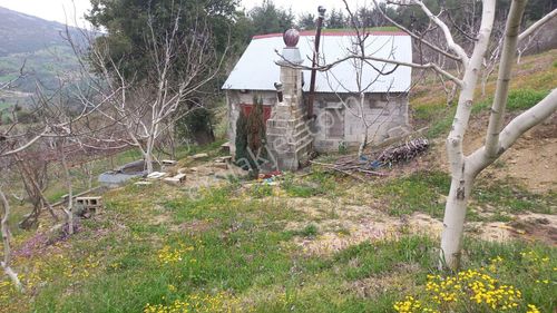 Arsa-Bağ & Bahçe