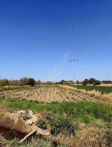Arsa-Tarla