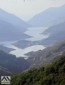 Arsa-Tarla