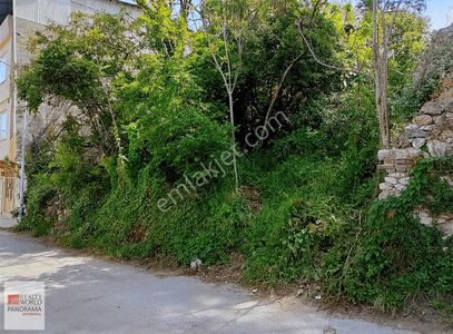 Arsa-Konut İmarlı