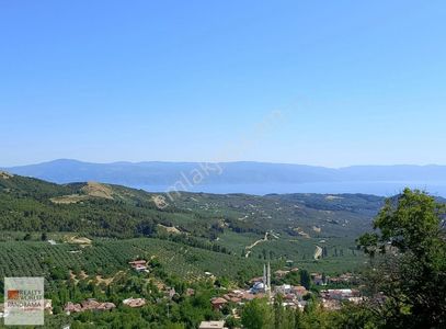 Arsa-Tarla