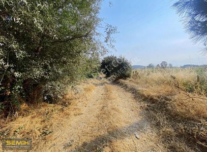 Arsa-Tarla
