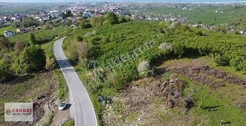 Arsa-Konut İmarlı